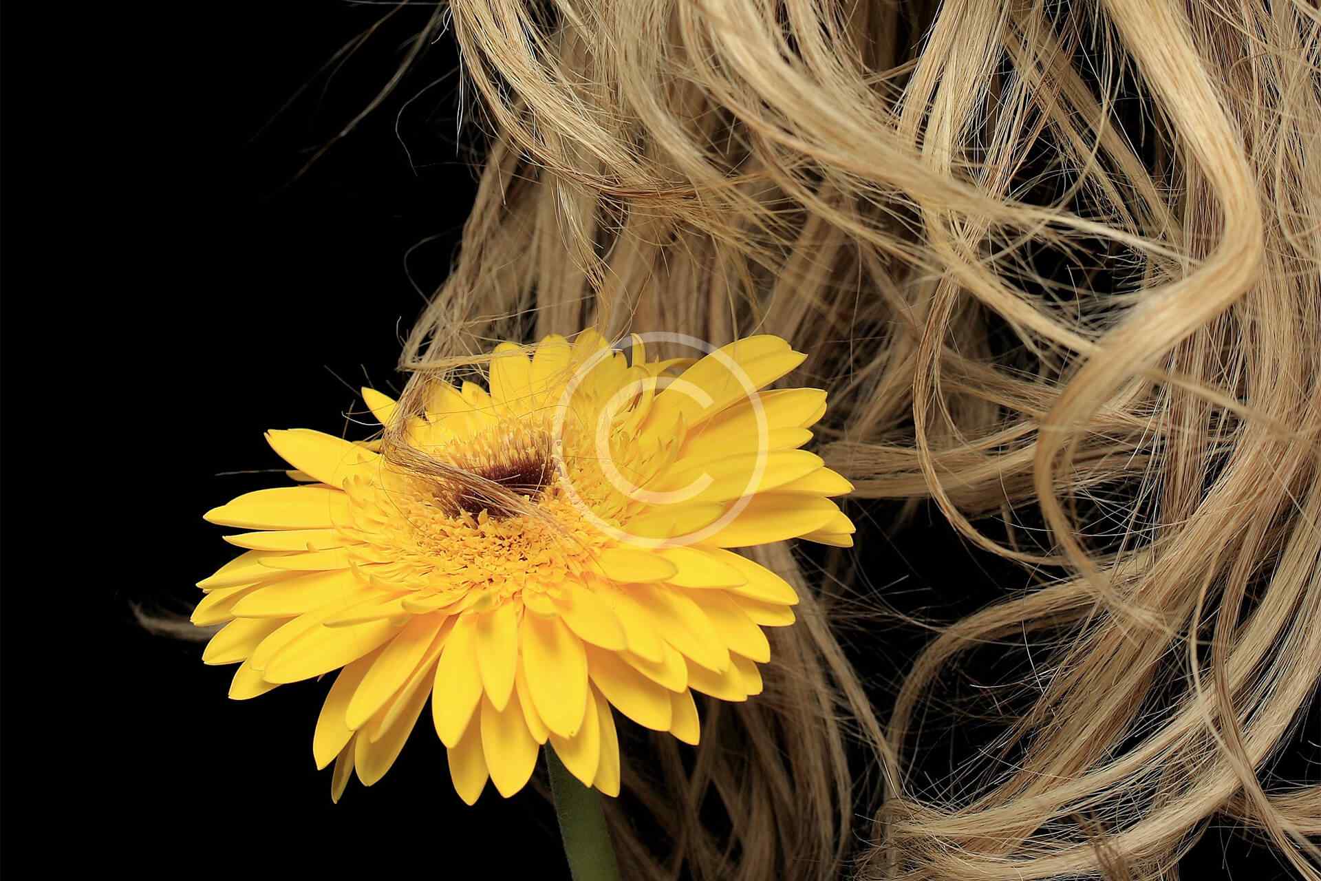 Tratamiento del hipotiroidismo